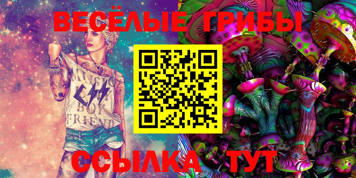 Псилоцибиновые грибы Psilocybe Люберцы