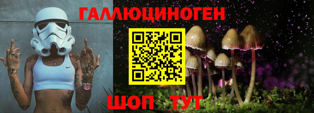 Люберцы  Псилоцибиновые грибы прущие грибы  Вход с VPN 